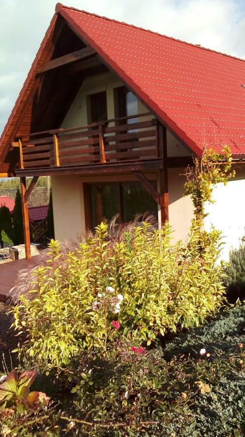 Noclegi Na Bukowym Stoku Czaniec Ngoại thất bức ảnh